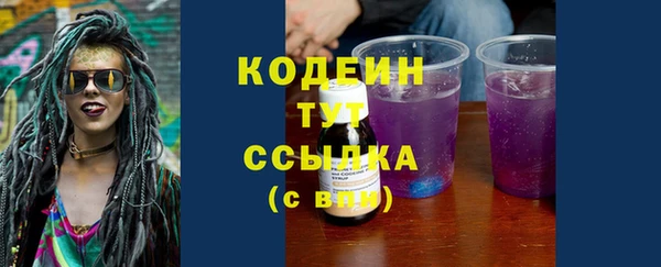 Альфа ПВП Верея