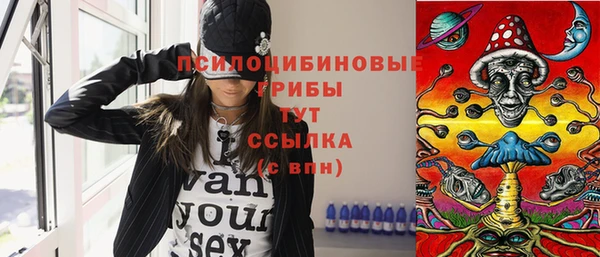 гидропоника Бугульма