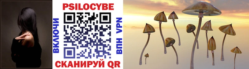 Галлюциногенные грибы Psilocybine cubensis  как найти   Павловск 